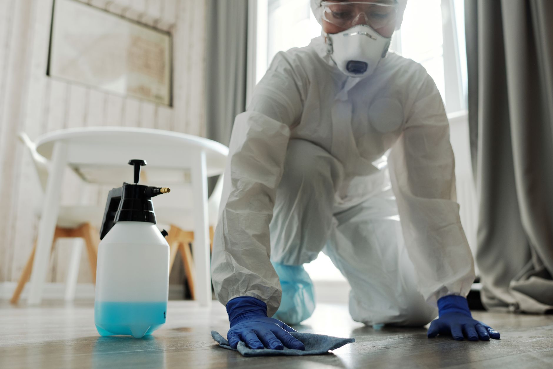 Termite Treatment & Prevention — Boerne Pest Control